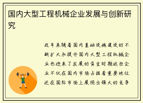 国内大型工程机械企业发展与创新研究